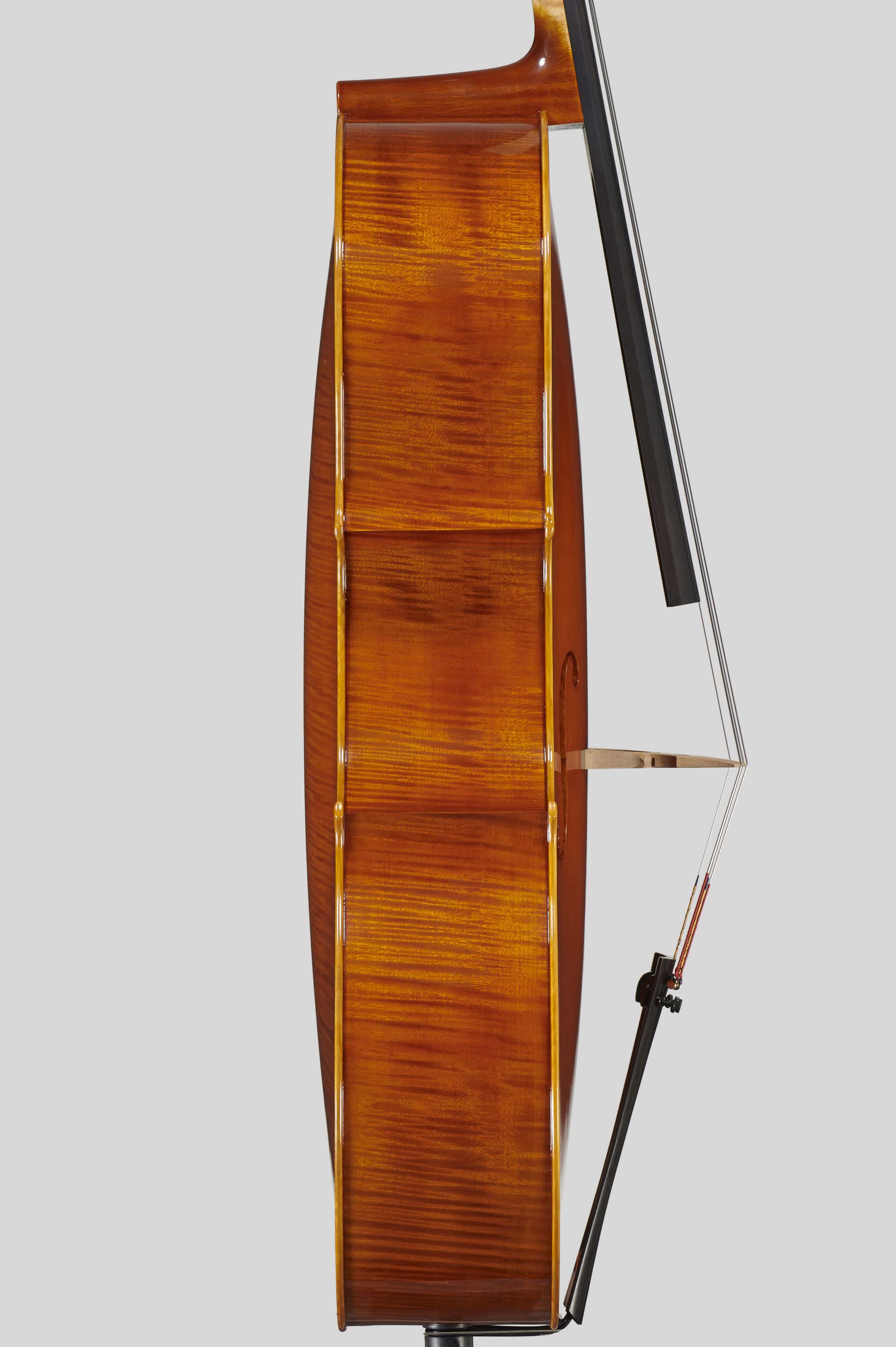 Anno 2012 – Violoncello modello stile A. Stradivari “forma B” - “Mara” 1711 - Profilo
