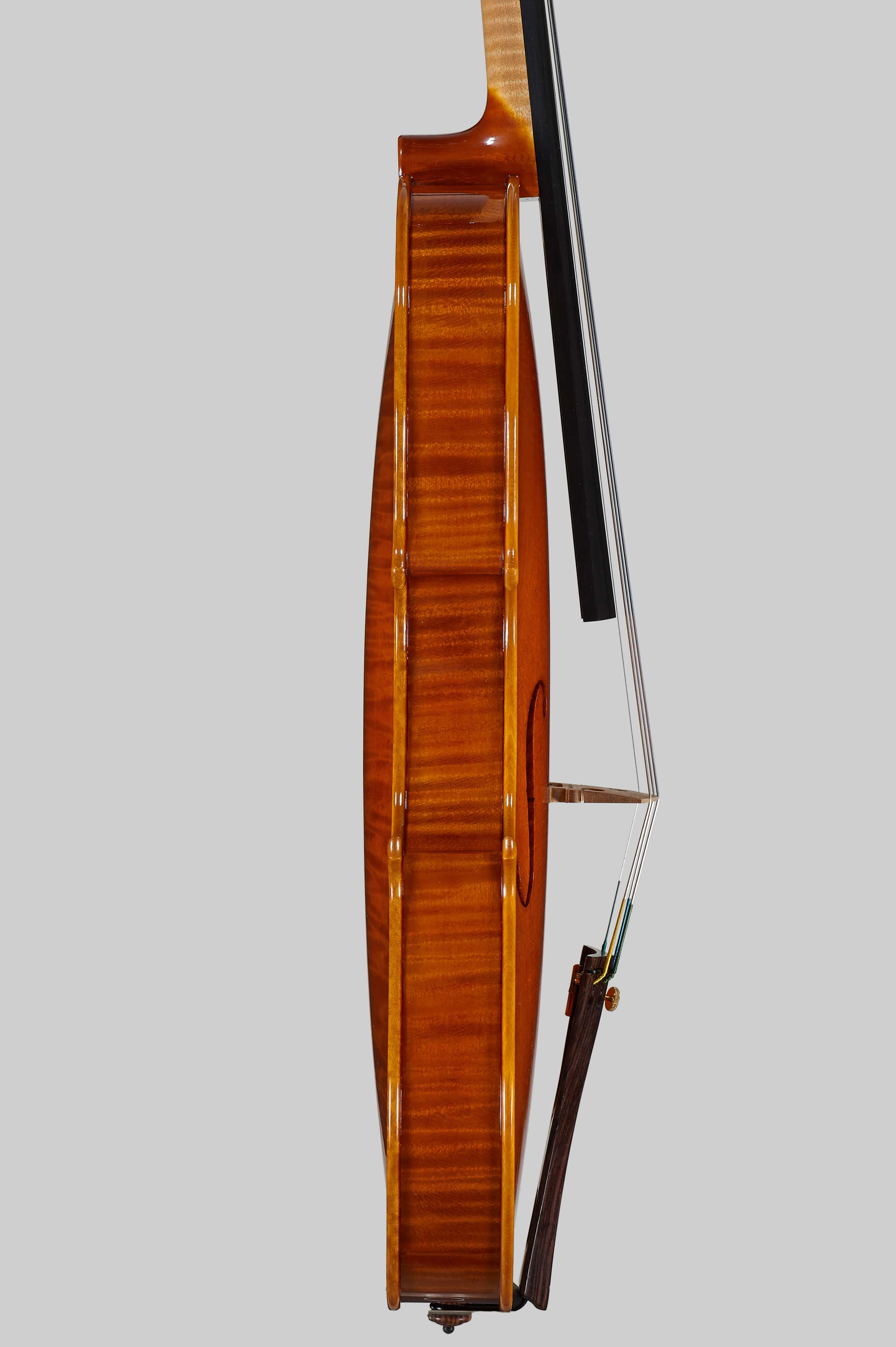 Anno 2015 – Violino modello stile A. Stradivari “Viotti” 1709 - Profilo