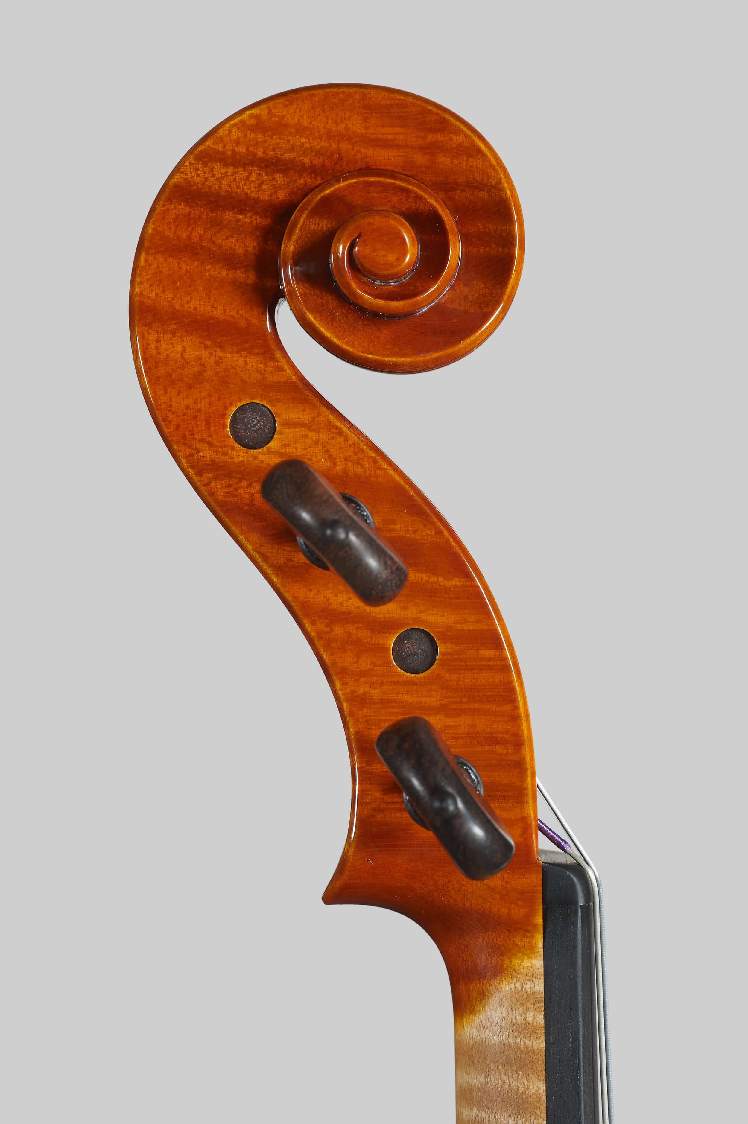 Anno 2015 – Violino modello stile A. Stradivari “Viotti” 1709 - Testa sinistra