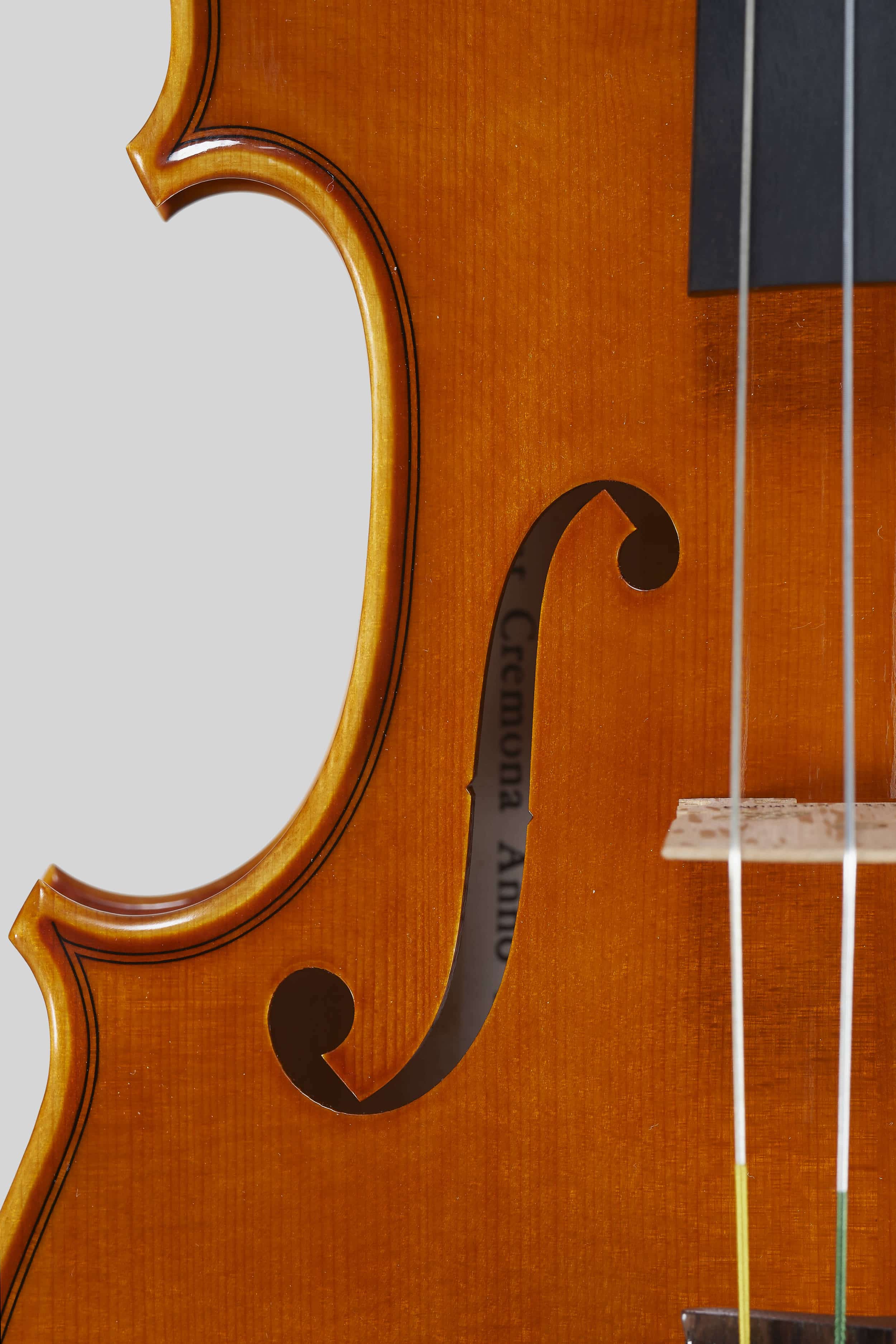 Anno 2016 - Violino modello A. Stradivari Rode, Le nestor 1733 - Effe