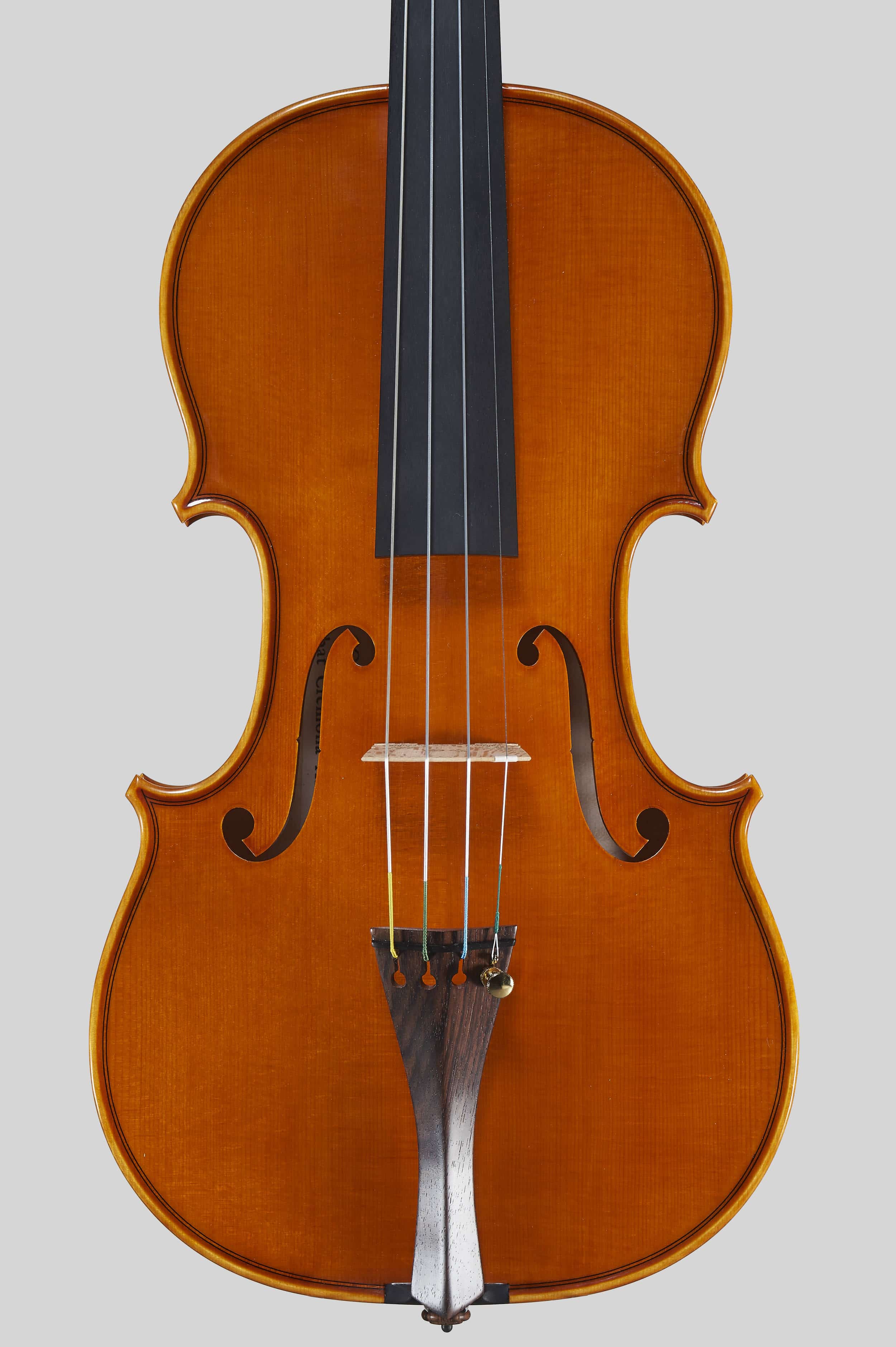 Anno 2016 - Violino modello A. Stradivari Rode, Le nestor 1733 - Tavola