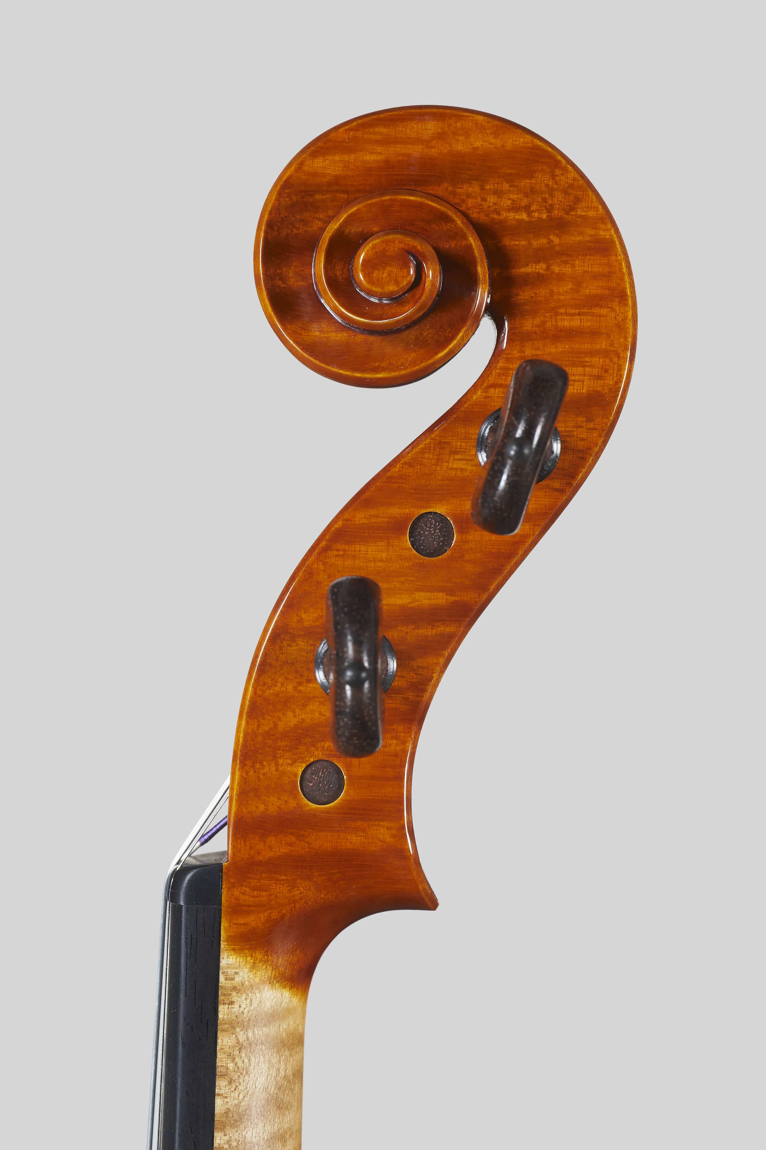 Anno 2016 - Violino modello A. Stradivari Rode, Le nestor 1733 - Testa destra