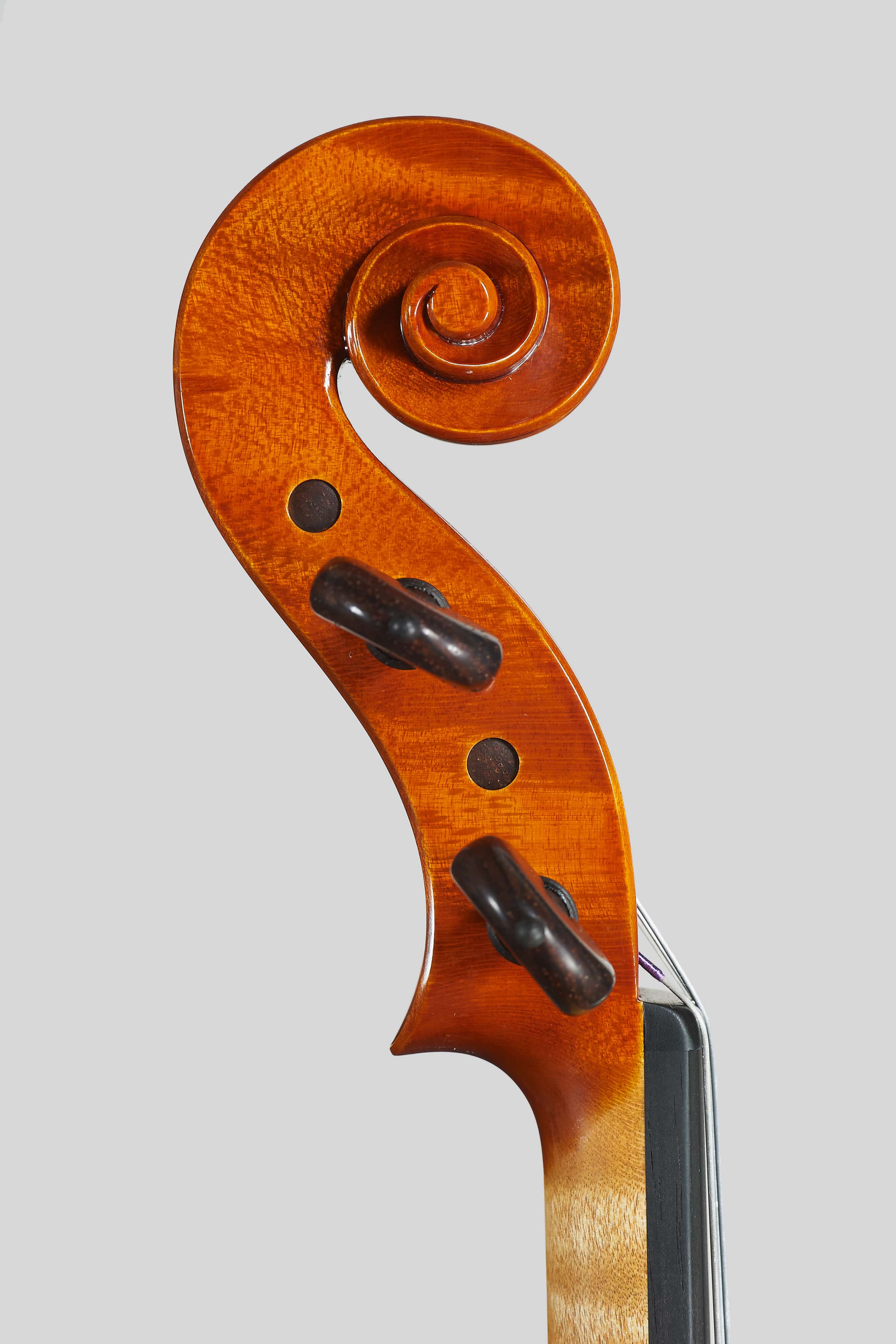 Anno 2016 – Violino modello A. Stradivari “Soil” 1714 - Testa sinistra